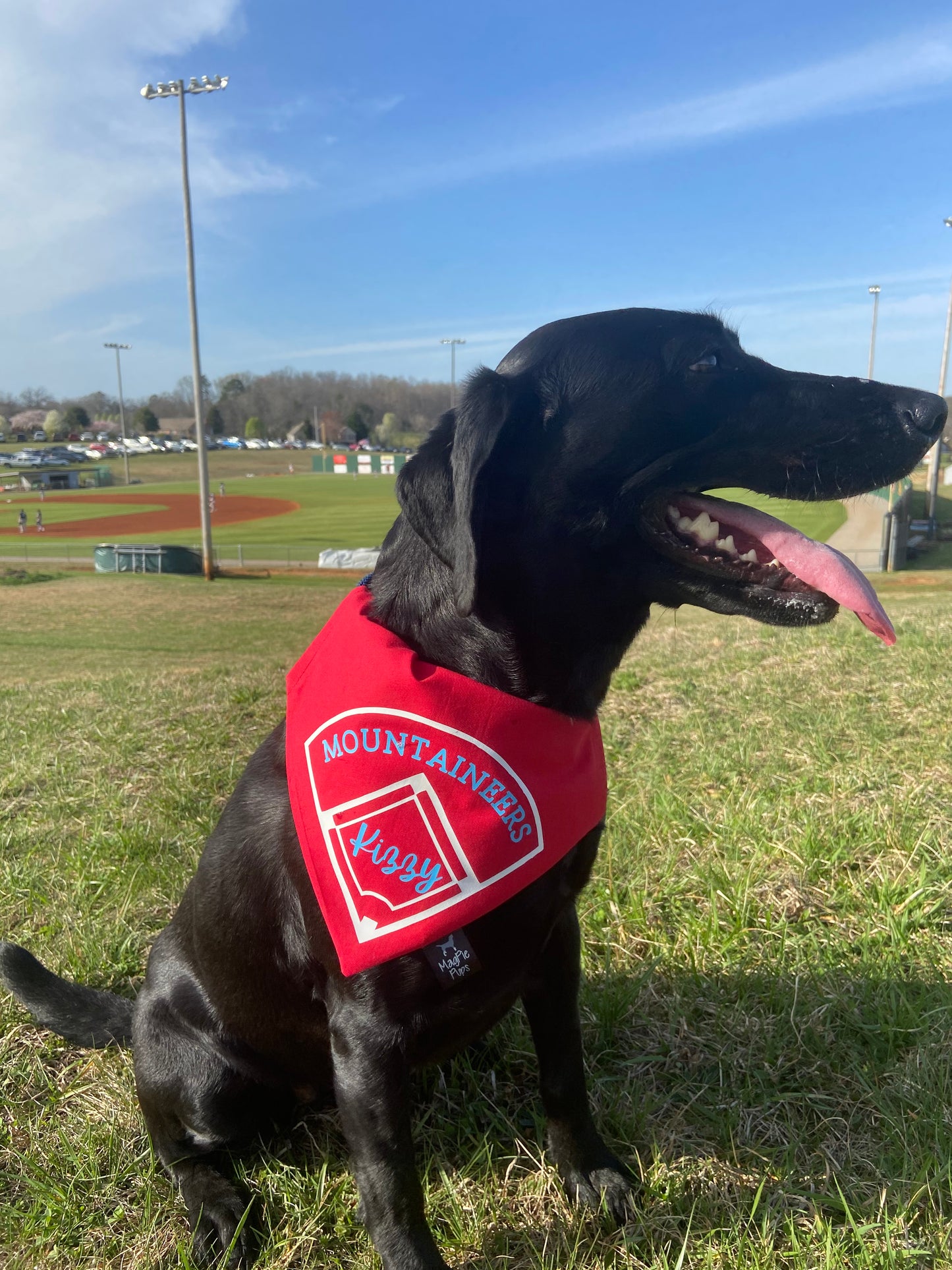 Customizable Baseball/Softball Over The Collar Dog Bandana