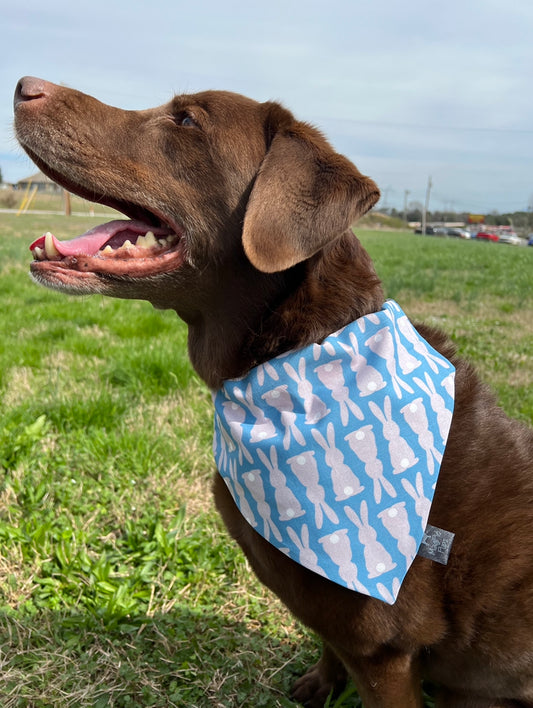 Blue and Purple Easter Bunny Bandana