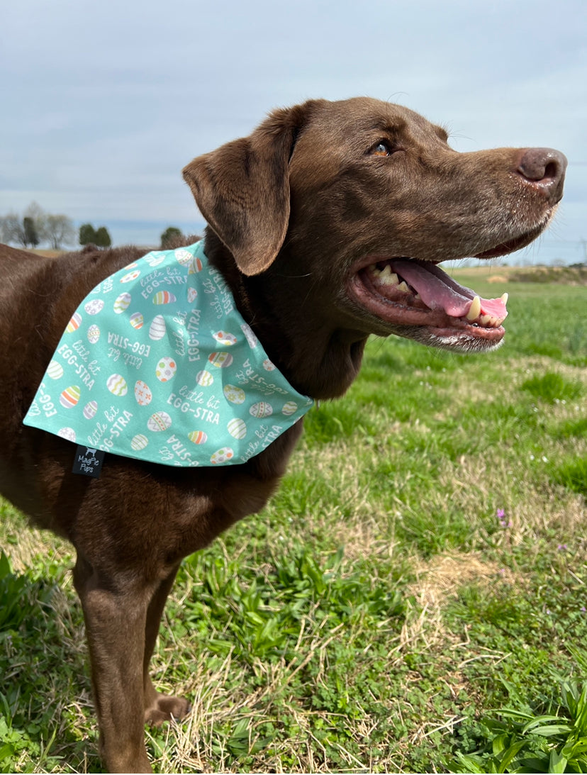 Little Bit Egg-Stra Easter Bandana