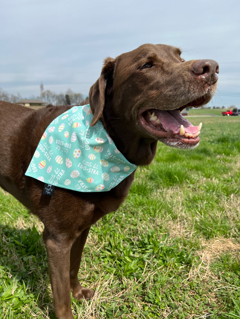 Little Bit Egg-Stra Easter Bandana