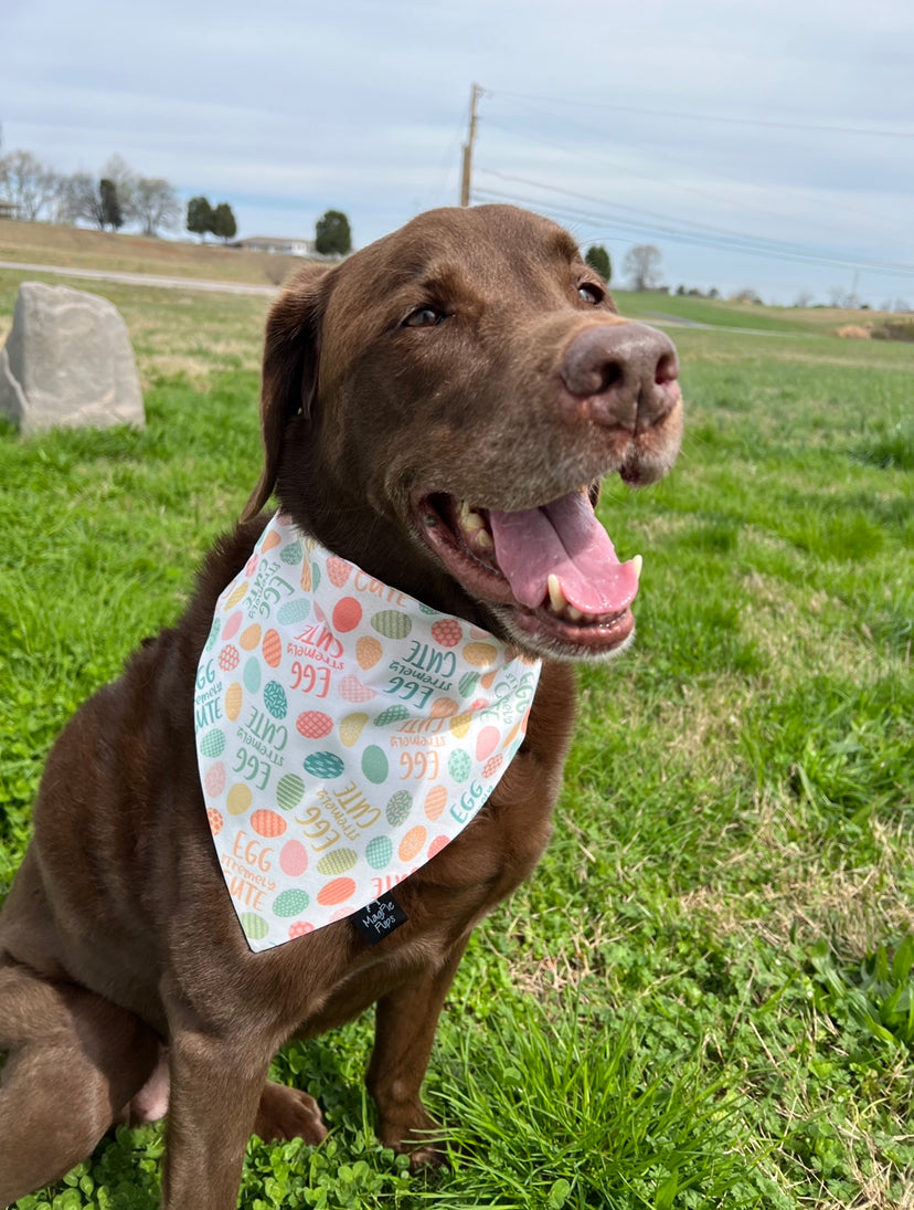 Egg Stremely Cute Easter Bandana