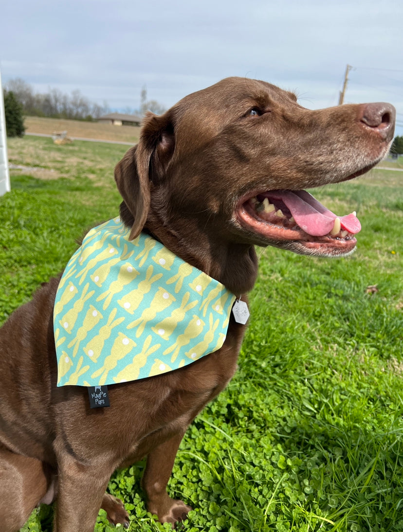 Green Easter Bunny Easter Bandana