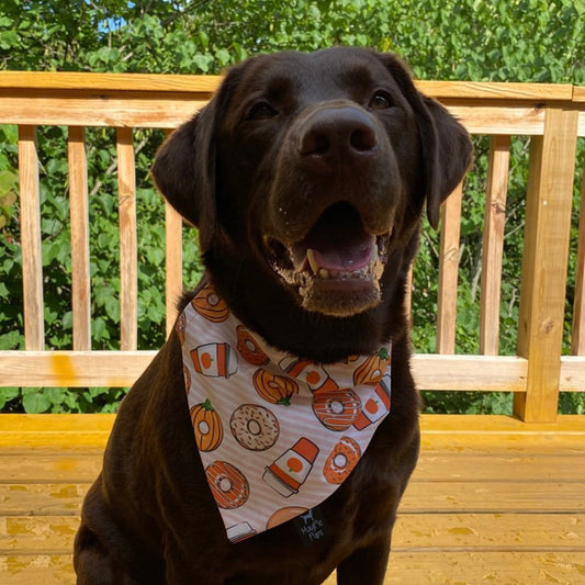 Fall Coffee and Donuts Bandana