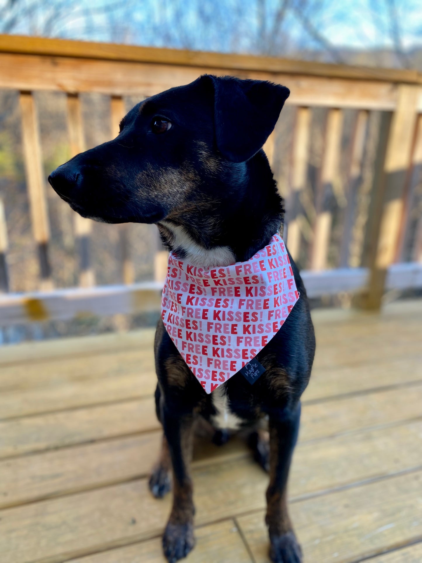 Free Kisses! Dog Bandana