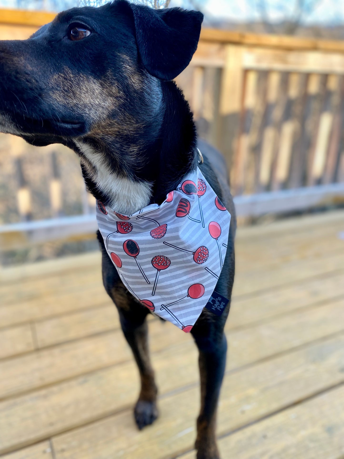 Valentines Cake Pop Dog Bandana