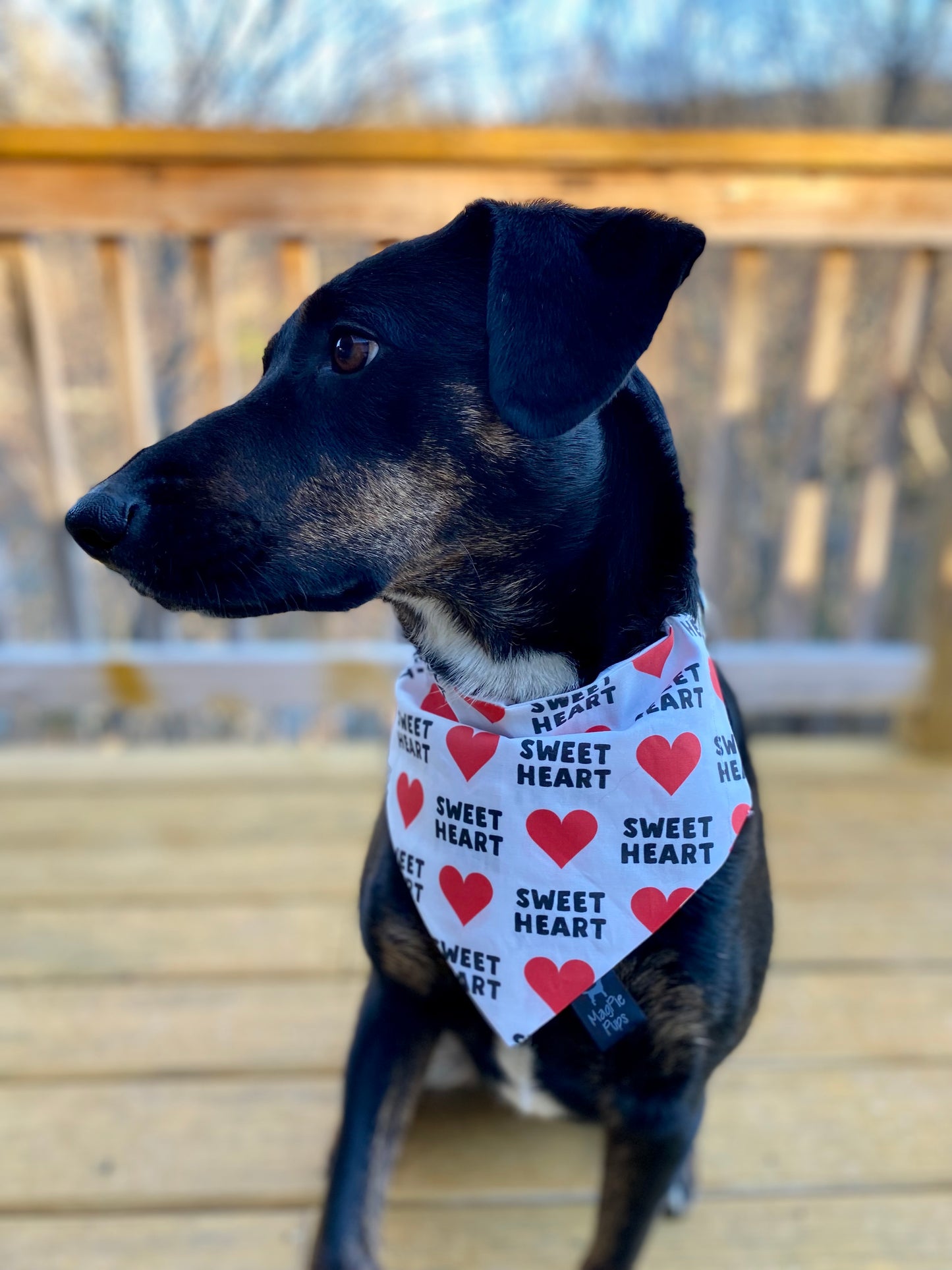 Sweet Heart Dog Bandana