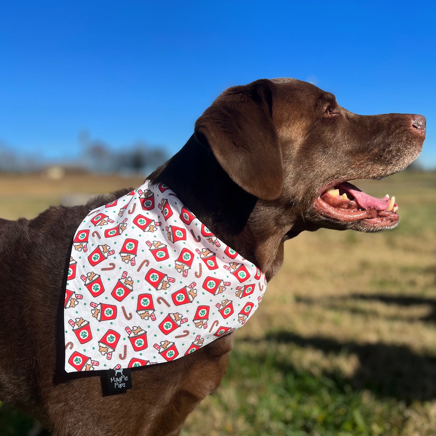 Peppermint Mocha Pup Cup Bandana